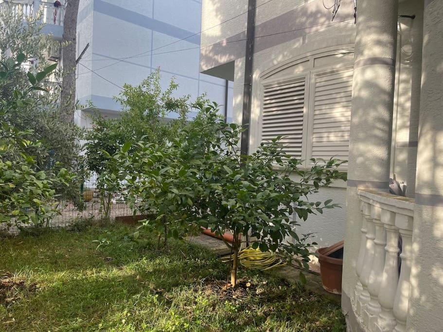 Near Beach, With Garden