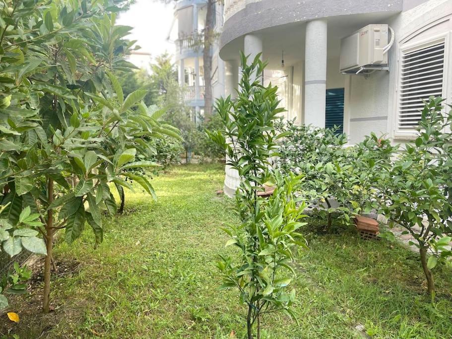 Near Beach, With Garden